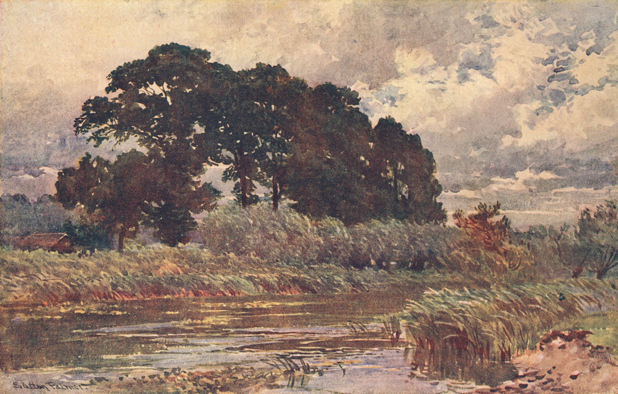 A Buckinghamshire Marsh by Sutton Palmer 1920 old antique print picture